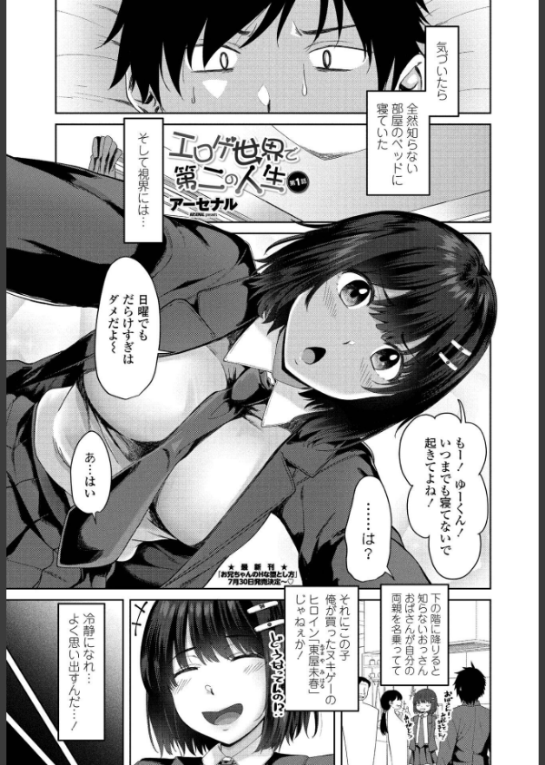 ペンギンクラブ 40th THE BEST_11枚目の画像